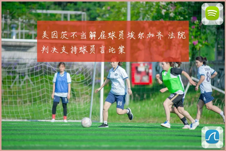 美因茨不当解雇球员埃尔加齐 法院判决支持球员言论案